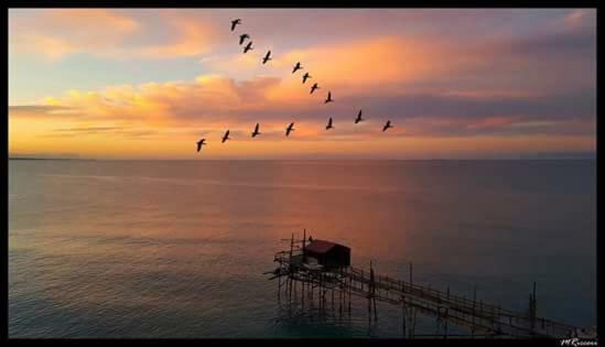 Malo' Rooms Termoli Bagian luar foto